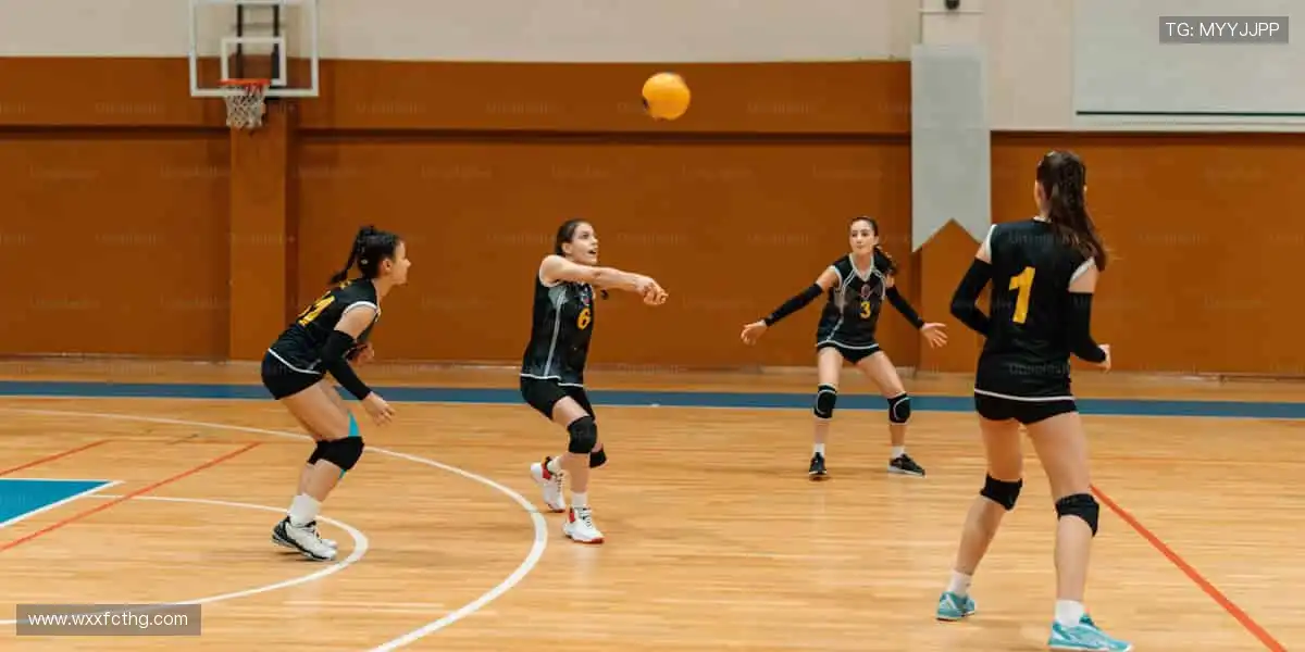 🏆 赛事激情，与全球观众同频共振！